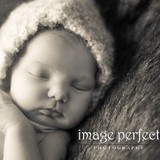 Image Perfect Photography - Other in Dyer