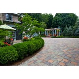 Bella Vista Landscape/Outdoor - Landscaping in Indianapolis