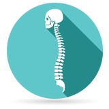 Spott Joseph DO - Other in Saint John