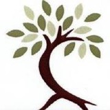 Allen Cty Chiro Wellness Center - Chiropractors in Fort Wayne