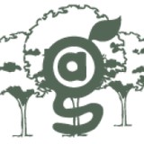 Green Arbor - Landscaping in Indianapolis