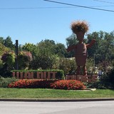 Walnut Ridge Greenhouses Inc - Other in Chandler