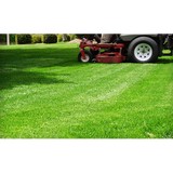 Indy Cuts Lawn & Landscaping - Landscape Architects in Indianapolis