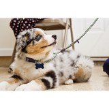 Kasten's Dog Training - Fences & Gates in Bristol