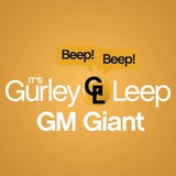 Gurley Leep Auto Group Inc - Car Dealers in South Bend