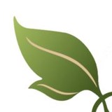 A Natural Way To Recovery Massage Therapy LLC - Massage Therapy in Indianapolis