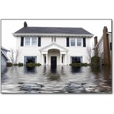 Absolutely Dry LLC - Other in Chesterton