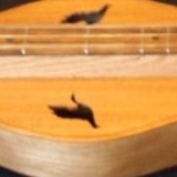 Mountain Made Music - Musical Instruments & Services in Nashville
