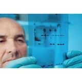 Tymora Analytical Operations LLC - Other in West Lafayette