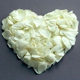 Php Photography - Commercial Photography in Indianapolis