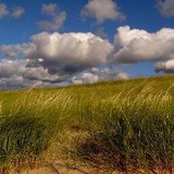 Save the Dunes Conservation - Other in Michigan City