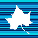 Isu Net Works - Financial Services in Indianapolis