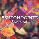 Ashton Point Apartments - Apartments in Indianapolis