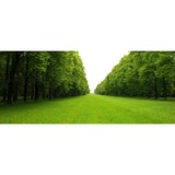 Irvington Landscape Service Inc - Landscape Architects in Greenfield