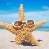 Gregory J Pease Dds P C - Dentists in Westfield