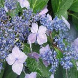 Janice A King Counseling Services - Other in Angola