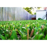 Turfmaster Lawn Maintenance - Lawn Services in Indianapolis