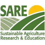 Sare Associates - Accountants in Bloomington