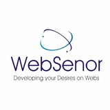 Websenor Infotech - Web Design & Development in Indianapolis