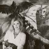 Noel Studio - Other in Zionsville