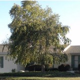 Tackett's Insurance Agency Inc - Insurance in Avon