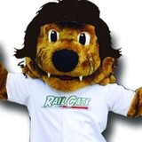 Railcats Professional Baseball - Other in Gary