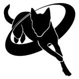 Flying Colors Canine Academy - Pet Services in Fort Wayne