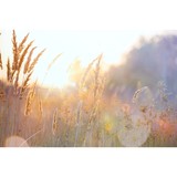 Delaney's - Other in Noblesville