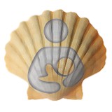 The Shield Shell Company - Other in Fishers