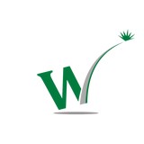 Wealth Strategies Inc - Financial Services in Indianapolis