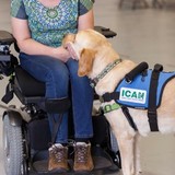 Indiana Canine Assistant Network Inc (Ican) - Pet Services in Indianapolis