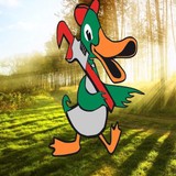 Benjamin Franklin Plumbing - Plumbing in Merrillville