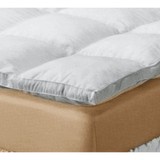 Anippe - Other in Fishers