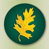 Oak Investment Service Inc - Insurance in Merrillville