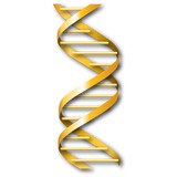 Fusion Graphics - Web Design & Development in Fort Wayne