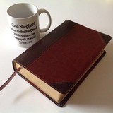 Good Shepherd United Methodist - Churches in Indianapolis