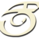 Sdc Guitars - Musical Instruments & Services in Indianapolis