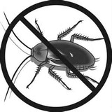 Pest Busters Rodent and Pest Control - Pest Control in Carmel