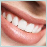 Roufs Brett A DDS - Dentists in Newton