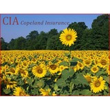 Copeland Insurance - Insurance in Marysville