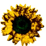 Attachment Center of Kansas - Counseling & Mental Health in Wichita