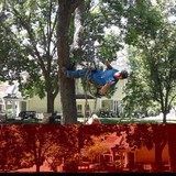 Affordable Tree Service - Tree Services in Lawrence