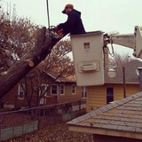 Wichita Tree Service - Tree Services in Wichita