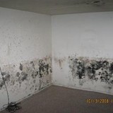 A1 Mold Testing & Remediation Services - Carpet Cleaning in Wichita