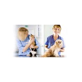 Topeka Veterinary Hospital LLC - Veterinarians/Vets in Topeka