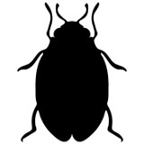 Pest Control Pro's Wichita - Pest Control in Wichita