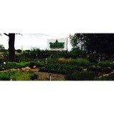 Tree Rific Nursery & Landscpg - Landscape Architects in Andover