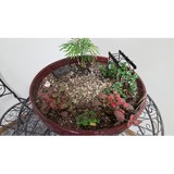 Desoto Feed & Garden LLC - Other in De Soto