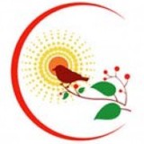 Solace Seeking Yoga Studio - Yoga in Shawnee