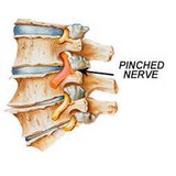 Dennis Scharenberg Dc - Chiropractors in Wichita